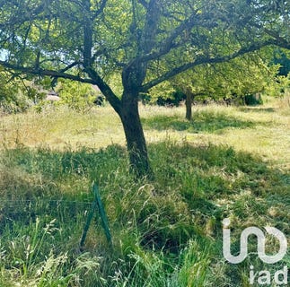 /international/fr/linas-ile-de-france-310100491676/
