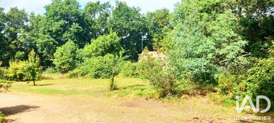 /international/fr/beaulieu-sous-la-roche-pays-de-la-loire-310108921297/