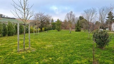 /international/fr/sens-burgundy-310105300950/