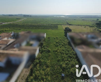 /international/fr/loix-charente-310104226943/
