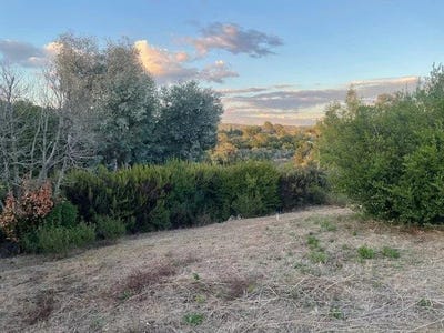 /international/fr/la-roquette-sur-siagne-provence-alpes-cote-d-azur-310105431903/