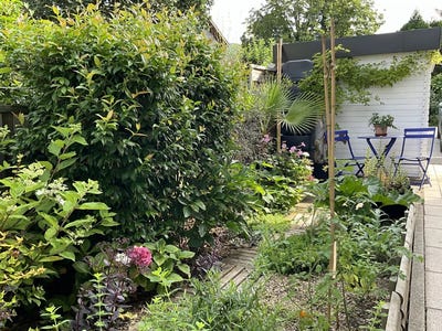 /international/fr/brison-saint-innocent-rhone-310106682929/