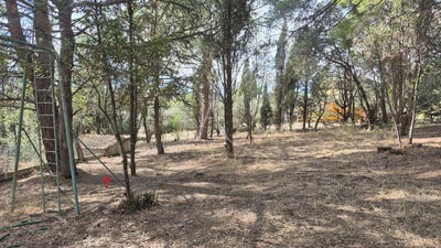 /international/fr/ouveillan-languedoc-roussillon-310104474413/