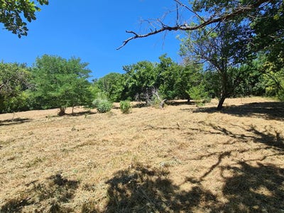 /international/fr/rouffiac-tolosan-midi-pyrenees-310101133764/?lang=zh-tw