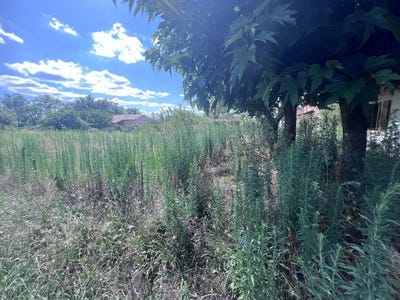 /international/fr/cugnaux-midi-pyrenees-310101486615/?lang=it