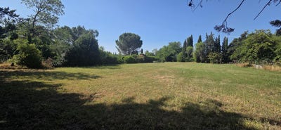 /international/fr/saint-quentin-la-poterie-languedoc-roussillon-310108465679/