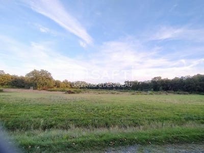/international/fr/huismes-centre-val-de-loire-310104799103/