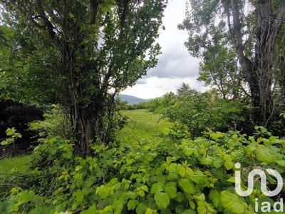 /international/fr/saint-etienne-les-orgues-provence-alpes-cote-d-azur-310100933706/