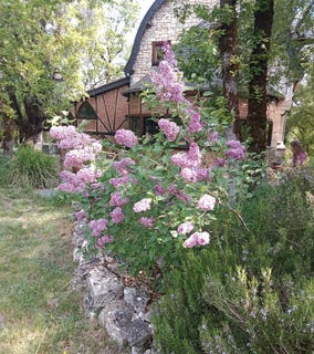 /international/fr/saint-pantaleon-midi-pyrenees-310105925082/