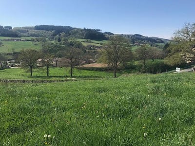 /international/fr/cluny-burgundy-310101485152/?lang=en