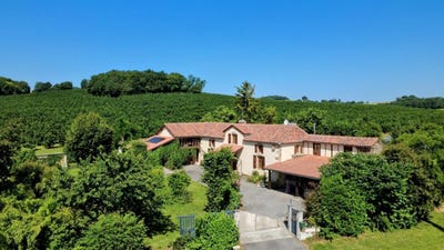 /international/fr/marciac-midi-pyrenees-310108132605/