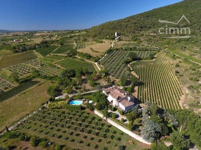 /international/fr/saint-sauveur-de-cruzieres-rhone-310106836728/