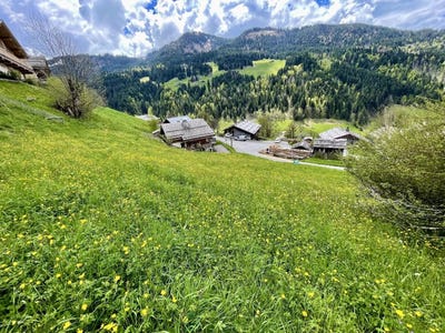 /international/fr/le-grand-bornand-rhone-310098877848/?lang=zh-tw