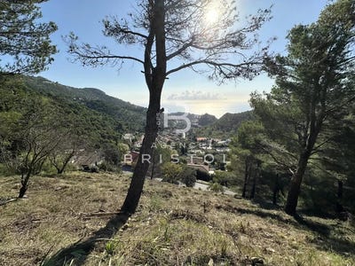 /international/fr/eze-provence-alpes-cote-d-azur-310107793221/