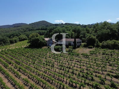 /international/fr/buis-les-baronnies-rhone-310109935455/