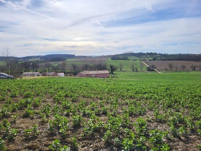 /international/fr/puycasquier-midi-pyrenees-310107559767/