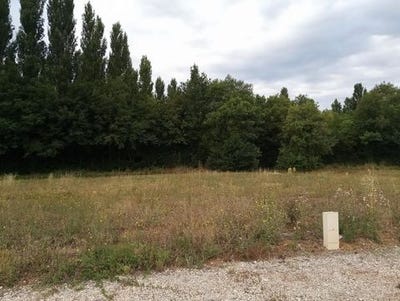 /international/fr/montpellier-de-medillan-charente-310101379310/?lang=de