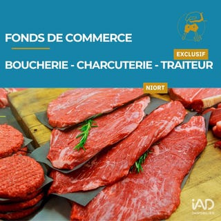 /international/fr/niort-charente-310105163972/