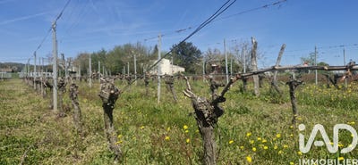 /international/fr/saint-magne-de-castillon-aquitaine-310107217716/