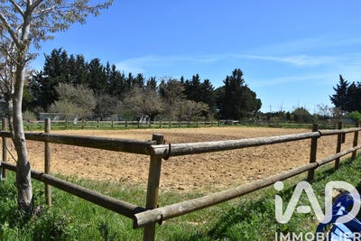 /international/fr/aimargues-languedoc-roussillon-310108522422/