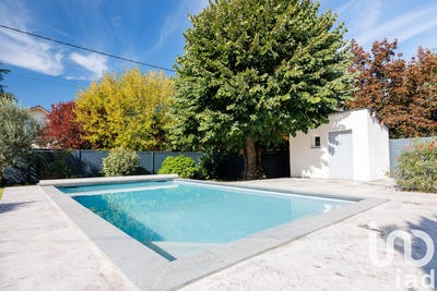 /international/fr/saint-bernard-lorraine-310102959592/