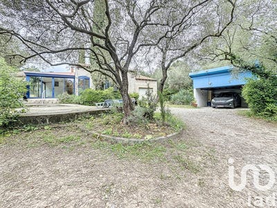 /international/fr/saint-jean-de-cornies-languedoc-roussillon-310099544293/