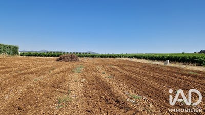 /international/fr/adissan-languedoc-roussillon-310108891551/