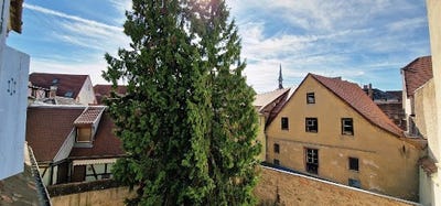 /international/fr/colmar-alsace-310108419509/