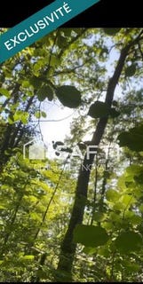 /international/fr/morlanne-aquitaine-310108761737/