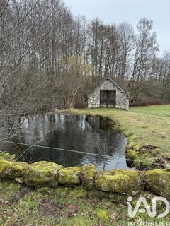 /international/fr/grandsaigne-limousin-310105991187/