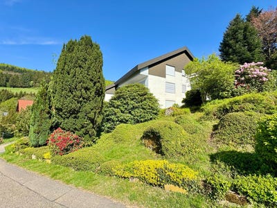 /international/fr/gambsheim-alsace-310100853841/