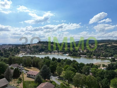 /international/fr/saint-remy-sur-durolle-auvergne-310109797660/