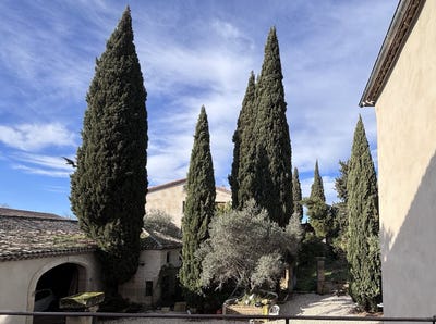 /international/fr/sommieres-languedoc-roussillon-310107499798/