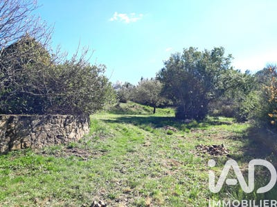 /international/fr/ales-languedoc-roussillon-310106794072/