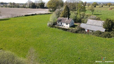 /international/fr/trans-pays-de-la-loire-310108453809/