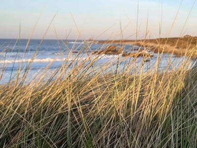 /international/fr/plouguerneau-brittany-310105351428/