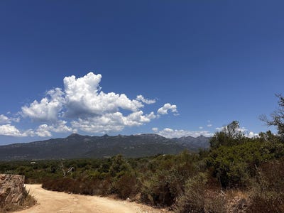 /international/fr/figari-corsica-310107838997/