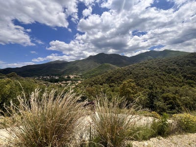 /international/fr/arles-sur-tech-languedoc-roussillon-310101186543/?lang=zh-cn