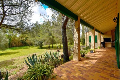 /international/fr/meze-languedoc-roussillon-310106244336/