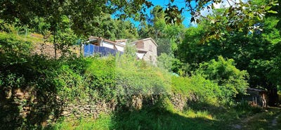 /international/fr/chamborigaud-languedoc-roussillon-310100938458/