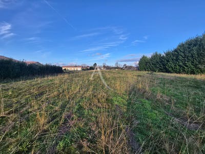 /international/fr/avenue-du-marsan-villeneuve-de-marsan-aquitaine-310104472668/