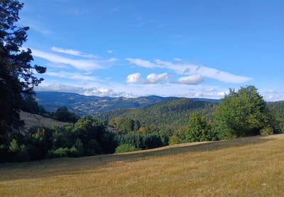 /international/fr/breitenbach-haut-rhin-alsace-310109949782/