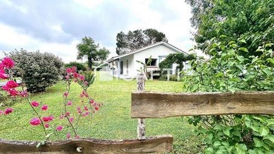 /international/fr/liposthey-aquitaine-310098843209/