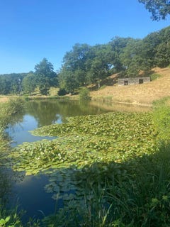 /international/fr/champeaux-la-basse-normandie-310100700583/