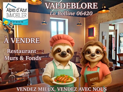 /international/fr/valdeblore-provence-alpes-cote-d-azur-310101226692/