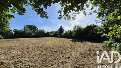 /international/fr/thuir-languedoc-roussillon-310108755870/