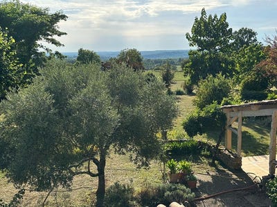 /international/fr/saint-sulpice-d-excideuil-aquitaine-310109095830/