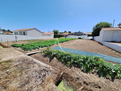 /international/fr/la-tranche-sur-mer-pays-de-la-loire-310108418480/