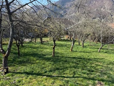 /international/fr/la-lechere-rhone-310108314274/