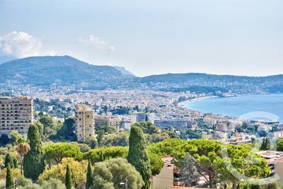 /international/fr/nice-provence-alpes-cote-d-azur-310108526371/